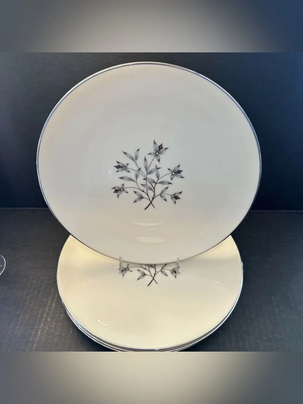 Lenox Princess Dinner Plates PAIR Hand Enameled Platinum Trim Thanksgiving Fall